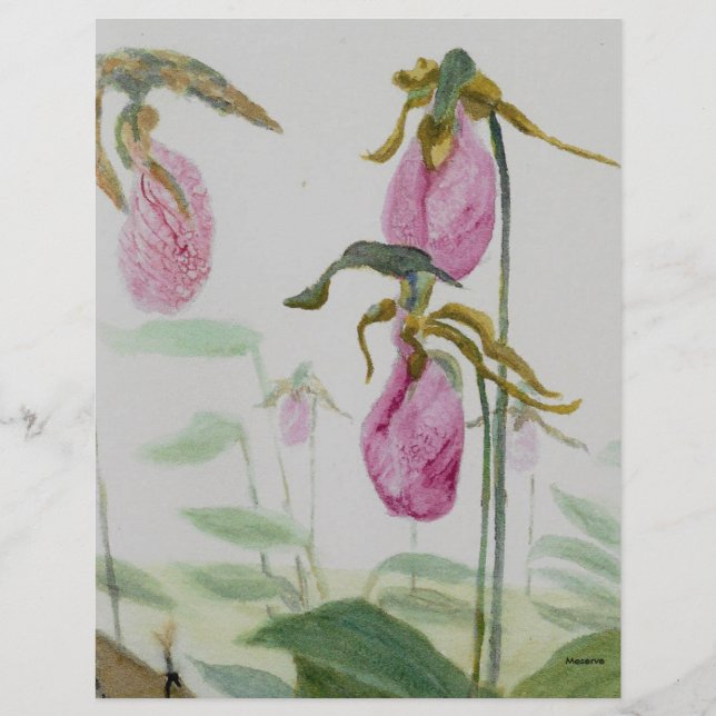 Lady Slippers (Vorderseite)