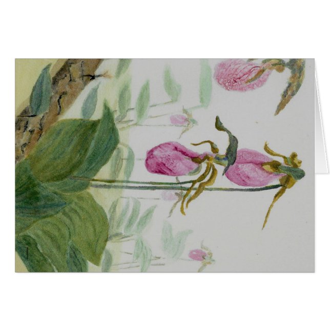 Lady Slippers (Vorderseite (Horizontal))