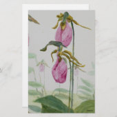 Lady Slippers Briefpapier (Vorne/Hinten)