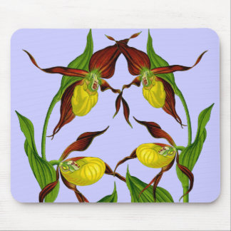 Lady Slippers entwinterte Mousepad