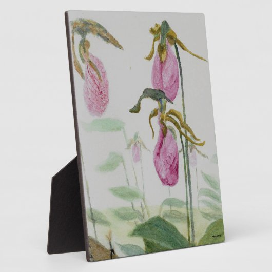 Lady Slippers Fotoplatte (Seite)