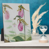 Lady Slippers Fotoplatte (Seite)