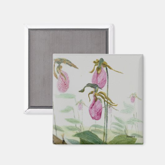 Lady Slippers Magnet (Vorderseite/Rückseite)