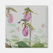 Lady Slippers Magnet (Vorne)