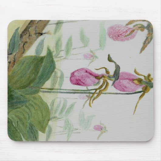 Lady Slippers Mousepad (Vorne)