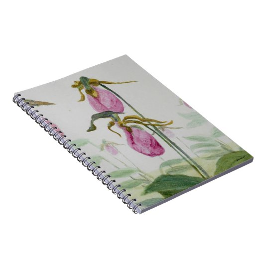 Lady Slippers Notizblock (Rechte Seite)