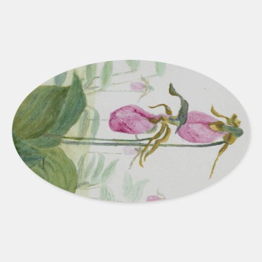 Lady Slippers Ovaler Aufkleber (Vorderseite)