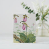 Lady Slippers Postkarte (Stehend Vorderseite)