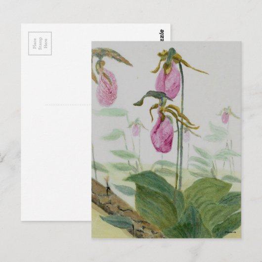Lady Slippers Postkarte (Vorne/Hinten)