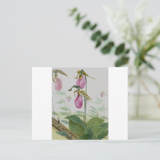 Lady Slippers Postkarte (Stehend Vorderseite)