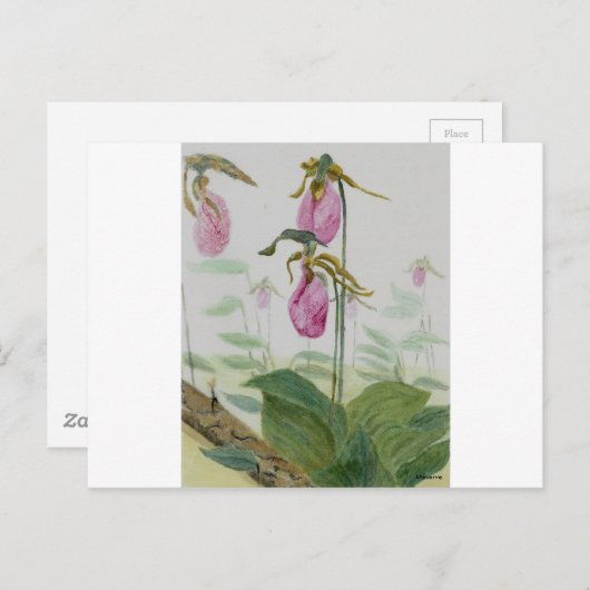 Lady Slippers Postkarte (Vorne/Hinten)