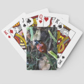 Lady Spielkarten (Rückseite)