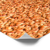 Lady und Lion Poster (Ecke)