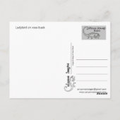 Lady-Vogel Postkarte (Rückseite)
