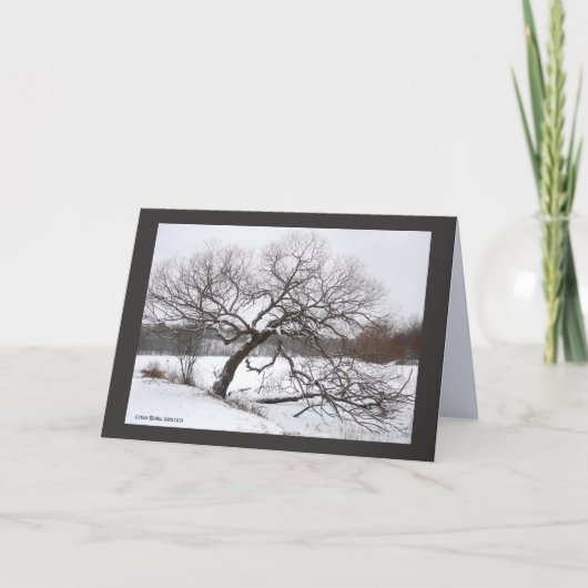 Lady Willow's Winter Karte (Vorderseite)