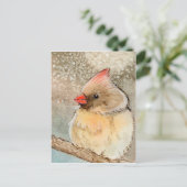 Lady Winter Kardinal Postkarte (Stehend Vorderseite)