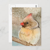 Lady Winter Kardinal Postkarte (Vorne/Hinten)