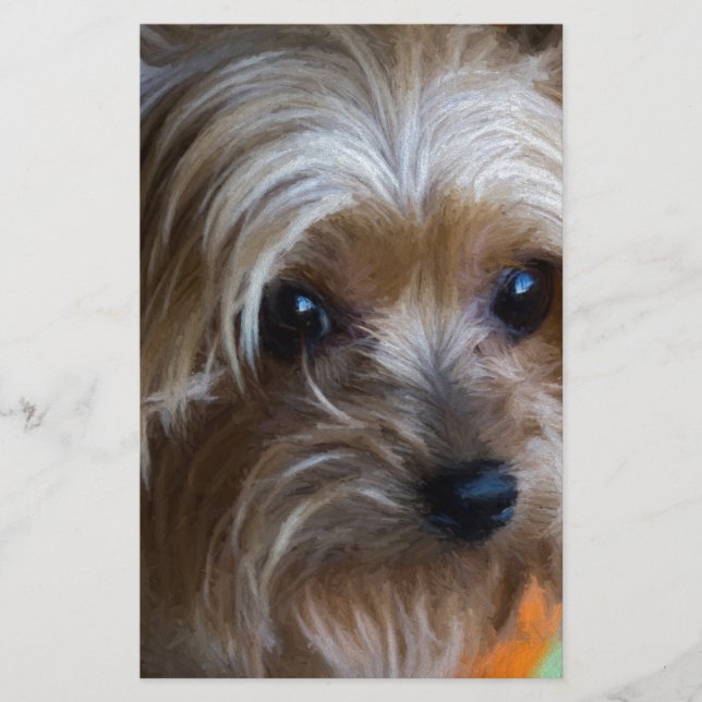 Lady Yorkshire Terrier (Vorderseite)