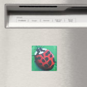 Lady zum Mittagessen. . . Bug Magnet (In Situ (Geschirrspüler))