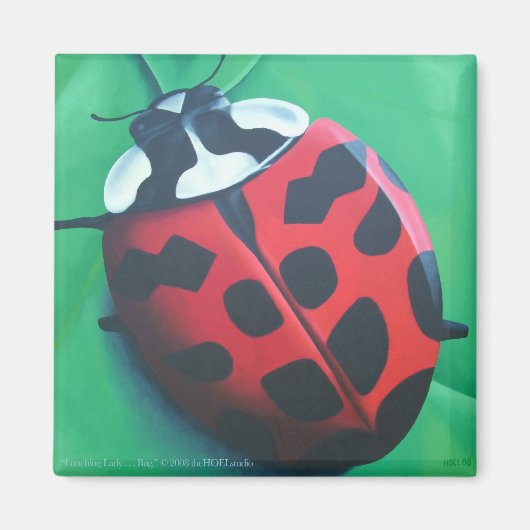 Lady zum Mittagessen. . . Bug Magnet (Vorne)