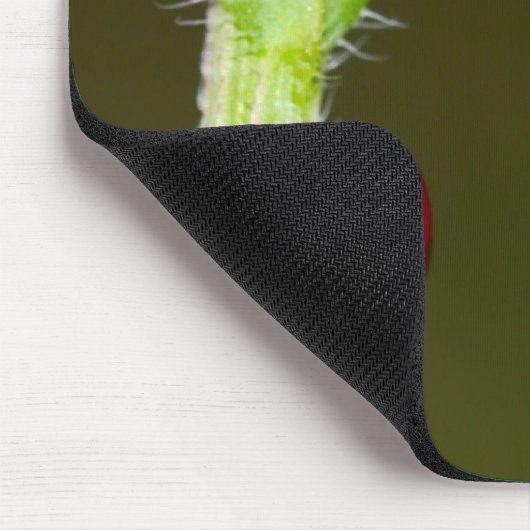 Ladybeetle mousepad (Ecke)