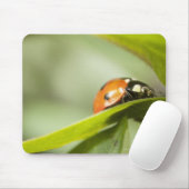 Ladybird auf Blatt, Ladybug auf Blatt Mousepad (Mit Mouse)
