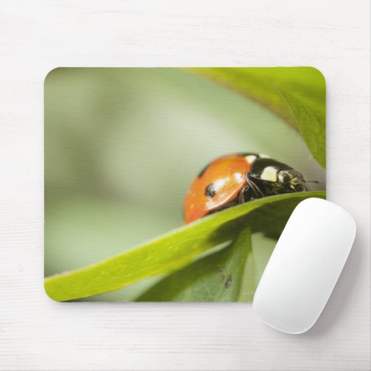 Ladybird auf Blatt, Ladybug auf Blatt Mousepad (Mit Mouse)