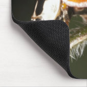 Ladybird auf Blatt, Ladybug auf Blatt Mousepad (Ecke)