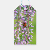 Ladybird auf Blume - Geschenkanhänger (Rückseite)