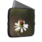 Ladybird auf der Chamomile-Blume Laptopschutzhülle (Vorne Rechts)