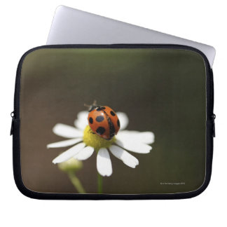 Ladybird auf der Chamomile-Blume Laptopschutzhülle