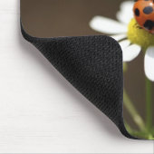 Ladybird auf der Chamomile-Blume Mousepad (Ecke)