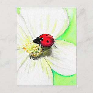 Ladybird auf einer Blume Postkarte