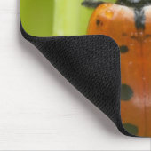 Ladybird auf Gras, nah Mousepad (Ecke)