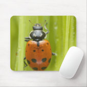 Ladybird auf Gras, nah Mousepad (Mit Mouse)