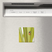 Ladybird auf Pflanze Magnet (In Situ (Geschirrspüler))