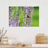 Ladybird auf violetten Blumen Poster (Küche)
