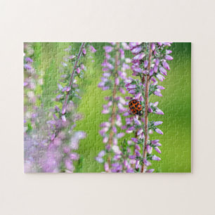 Ladybird auf violetten Blumen Puzzle