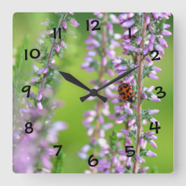 Ladybird auf violetten Blumen Quadratische Wanduhr