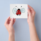 Ladybird Flyer (Gruppe)