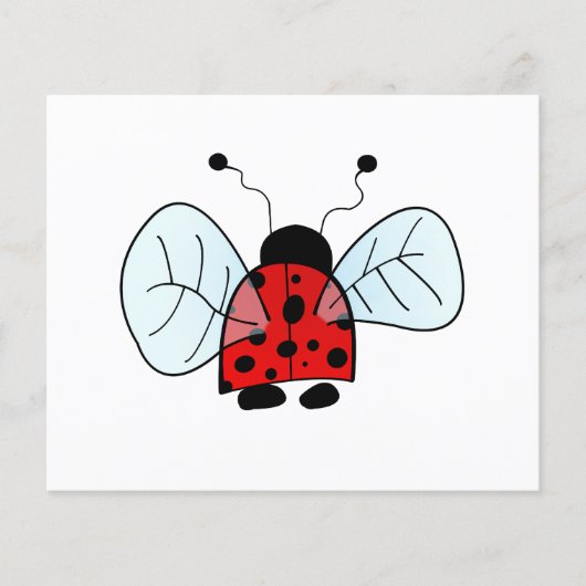 Ladybird Flyer (Vorne)