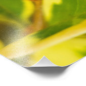 Ladybird Fotodruck (Ecke)