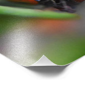 Ladybird Fotodruck (Ecke)