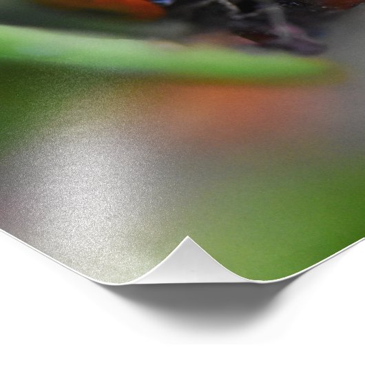 Ladybird Fotodruck (Ecke)