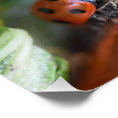 Ladybird Fotodruck (Ecke)