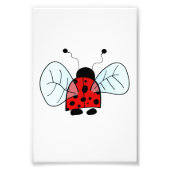 Ladybird Fotodruck (Vorne)