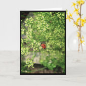 Ladybird [Grußkarte] Karte (Gelbe Blume)