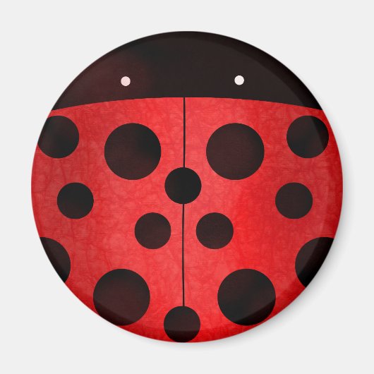 Ladybird Ladybug - Magnete Magnet (Vorne)