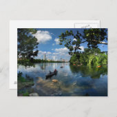 Ladybird Lake / Austin Texas Skyline 3 Postkarte (Vorne/Hinten)