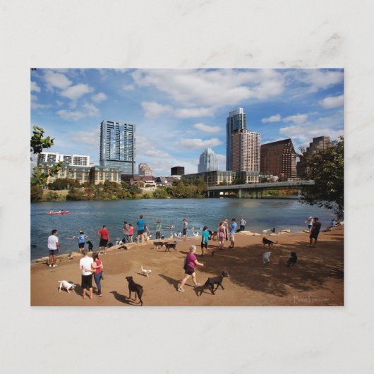 Ladybird Lake Dog Park Austin Texas Skyline Postkarte (Vorderseite)